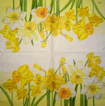 108 Daffodils - 3 ply - Home Fashion